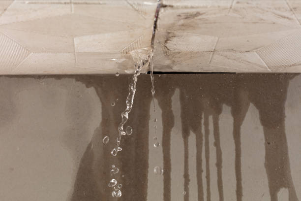 Professional Structural Drying technician working in Hubbard, TX